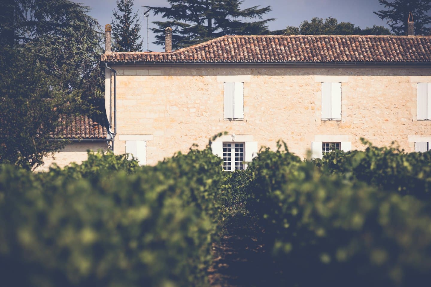 Casa rustica in pietra con tegole in cotto dietro filari di viti.